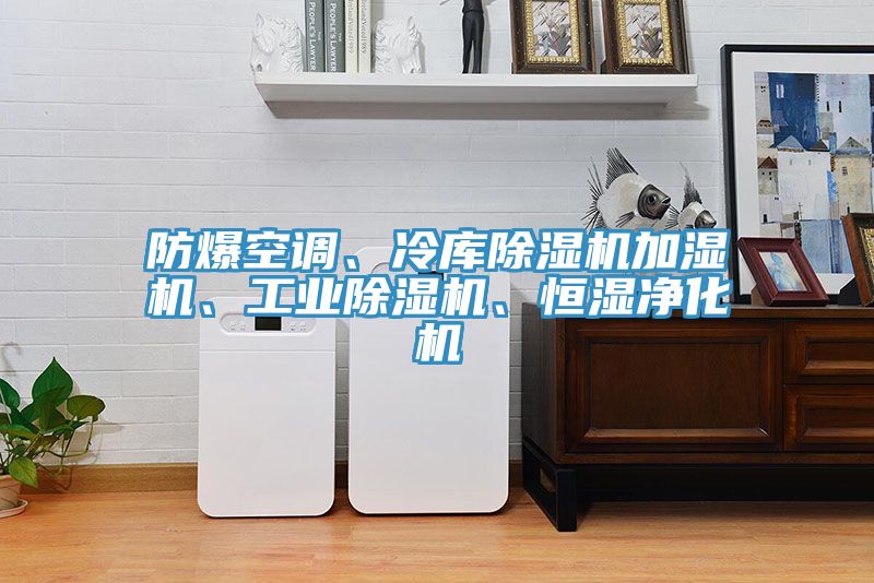 防爆空調(diào)、冷庫除濕機(jī)加濕機(jī)、工業(yè)除濕機(jī)、恒濕凈化機(jī)