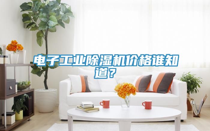 電子工業(yè)除濕機價格誰知道？