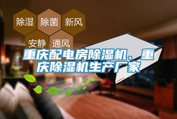 重慶配電房除濕機(jī)、重慶除濕機(jī)生產(chǎn)廠家