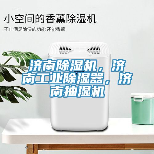 濟(jì)南除濕機(jī)，濟(jì)南工業(yè)除濕器，濟(jì)南抽濕機(jī)