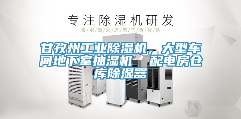 甘孜州工業(yè)除濕機(jī)，大型車(chē)間地下室抽濕機(jī)  配電房倉(cāng)庫(kù)除濕器