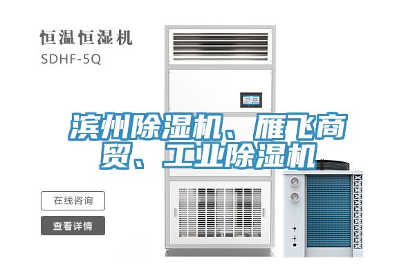 濱州除濕機(jī)、雁飛商貿(mào)、工業(yè)除濕機(jī)