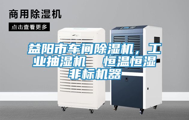 益陽市車間除濕機，工業(yè)抽濕機  恒溫恒濕非標機器