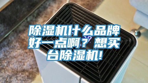 除濕機(jī)什么品牌好一點(diǎn)啊？想買臺(tái)除濕機(jī)!