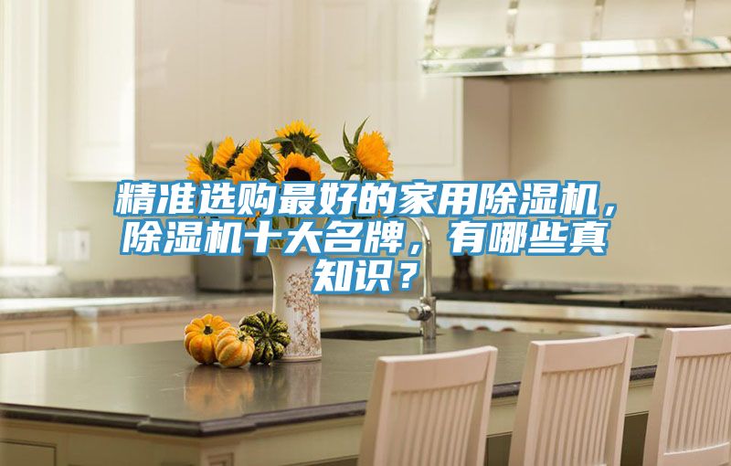 精準選購最好的家用除濕機，除濕機十大名牌，有哪些真知識？