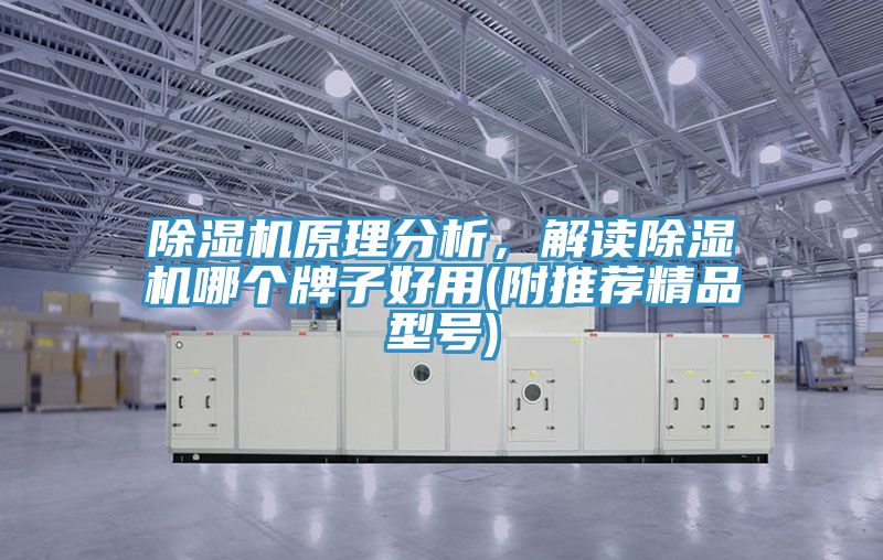 除濕機(jī)原理分析，解讀除濕機(jī)哪個牌子好用(附推薦精品型號)