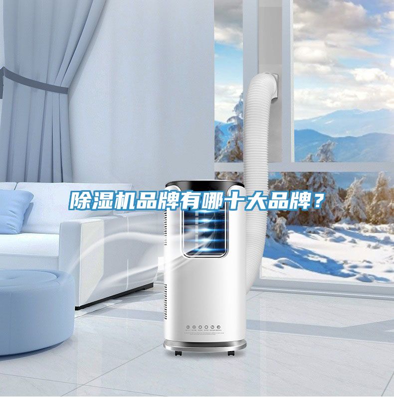 除濕機(jī)品牌有哪十大品牌？