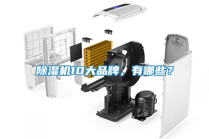 除濕機10大品牌，有哪些？