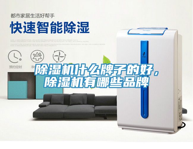 除濕機(jī)什么牌子的好，除濕機(jī)有哪些品牌