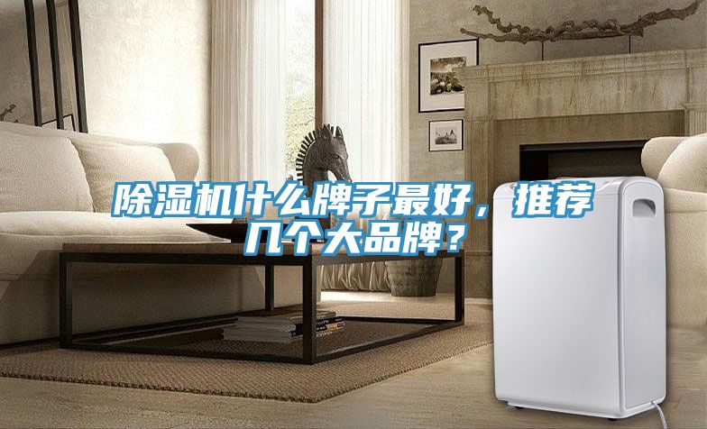 除濕機(jī)什么牌子最好，推薦幾個大品牌？