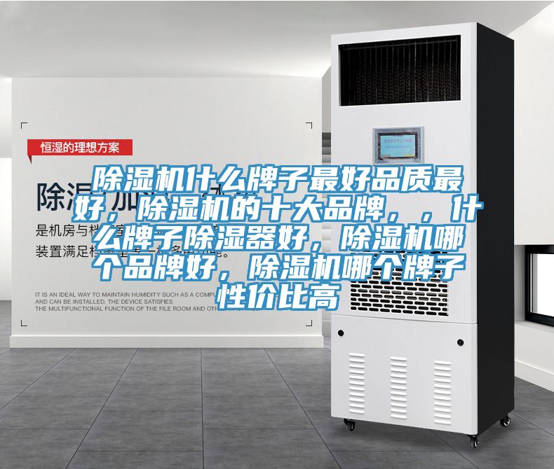 除濕機(jī)什么牌子最好品質(zhì)最好，除濕機(jī)的十大品牌，，什么牌子除濕器好，除濕機(jī)哪個品牌好，除濕機(jī)哪個牌子性價比高