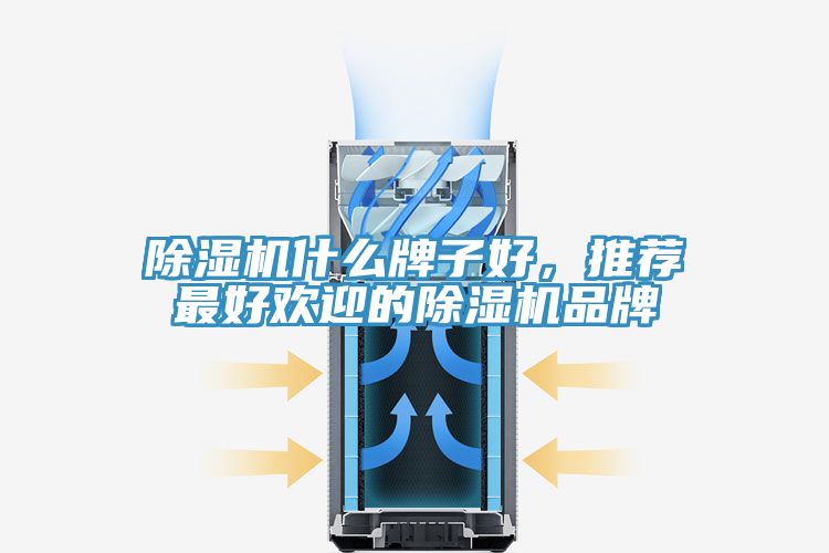 除濕機(jī)什么牌子好，推薦最好歡迎的除濕機(jī)品牌