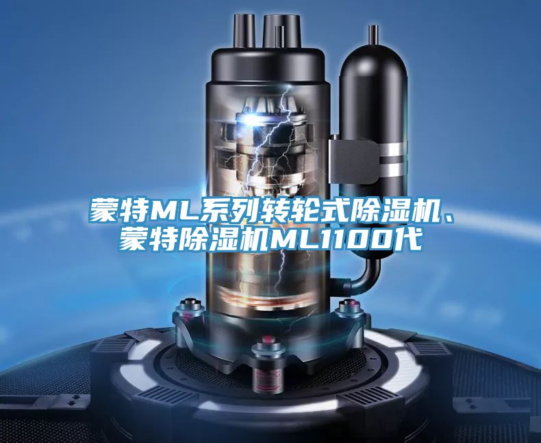 蒙特ML系列轉(zhuǎn)輪式除濕機(jī)、蒙特除濕機(jī)ML1100代
