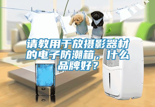請教用于放攝影器材的電子防潮箱，什么品牌好？