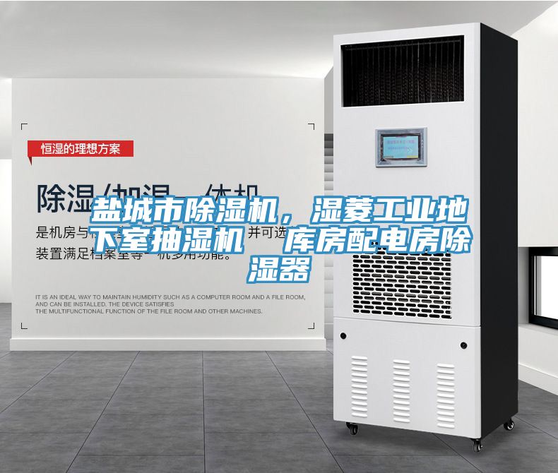 鹽城市除濕機，濕菱工業(yè)地下室抽濕機  庫房配電房除濕器