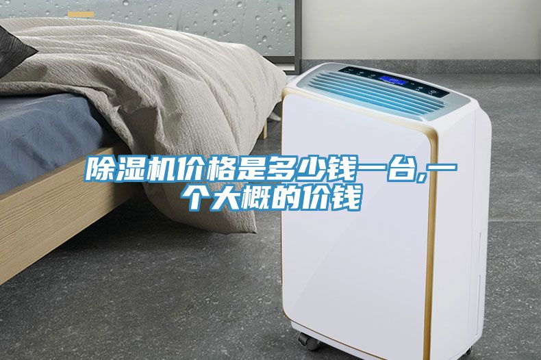 除濕機(jī)價格是多少錢一臺,一個大概的價錢
