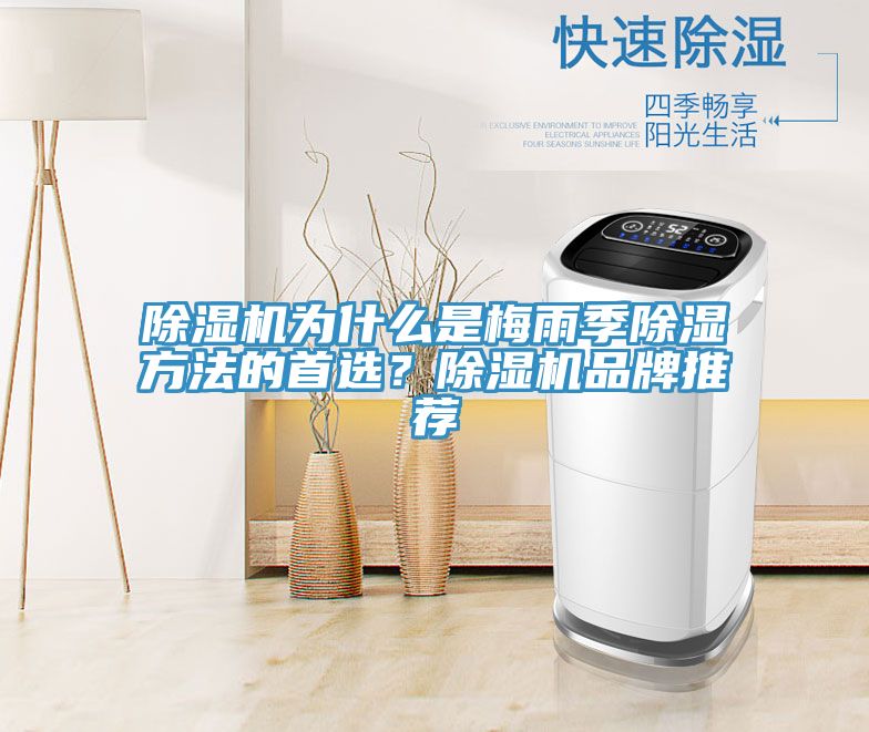 除濕機為什么是梅雨季除濕方法的首選？除濕機品牌推薦
