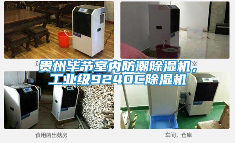 貴州畢節(jié)室內(nèi)防潮除濕機(jī)，工業(yè)級(jí)9240C除濕機(jī)