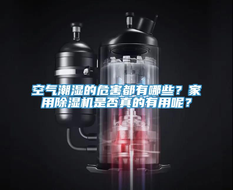 空氣潮濕的危害都有哪些？家用除濕機(jī)是否真的有用呢？