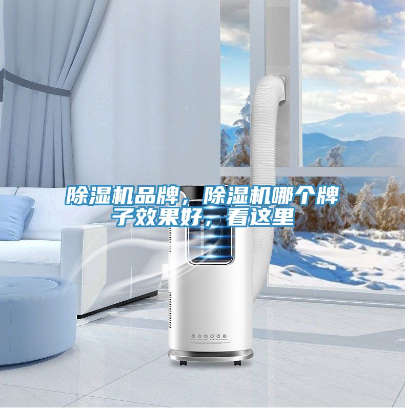 除濕機(jī)品牌，除濕機(jī)哪個(gè)牌子效果好，看這里