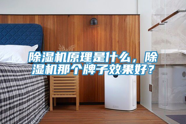 除濕機(jī)原理是什么，除濕機(jī)那個(gè)牌子效果好？