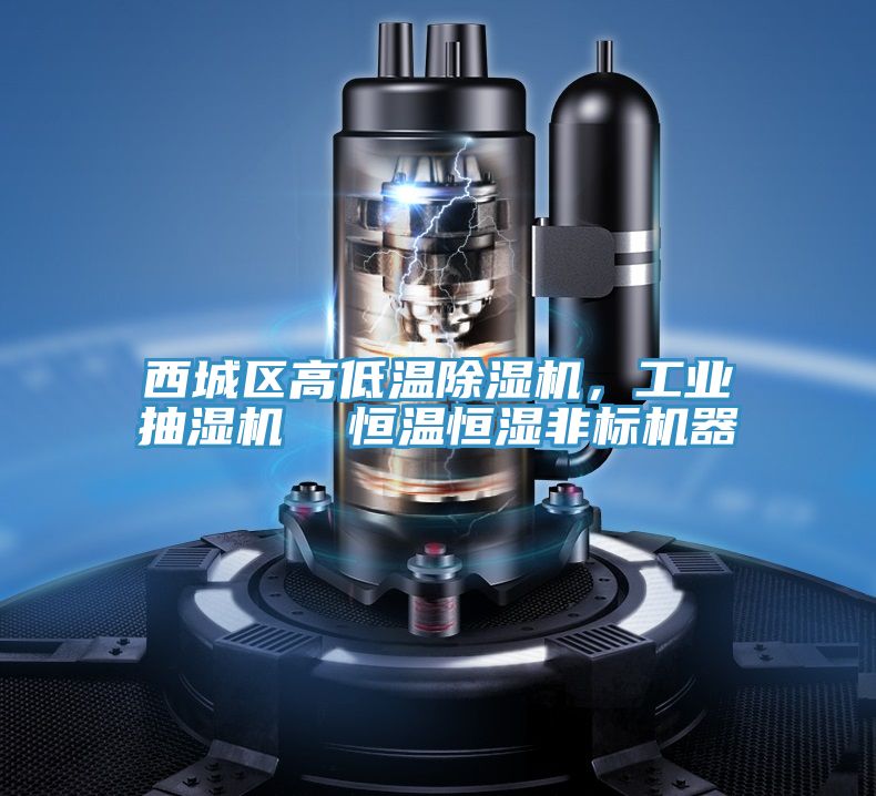西城區(qū)高低溫除濕機，工業(yè)抽濕機  恒溫恒濕非標(biāo)機器
