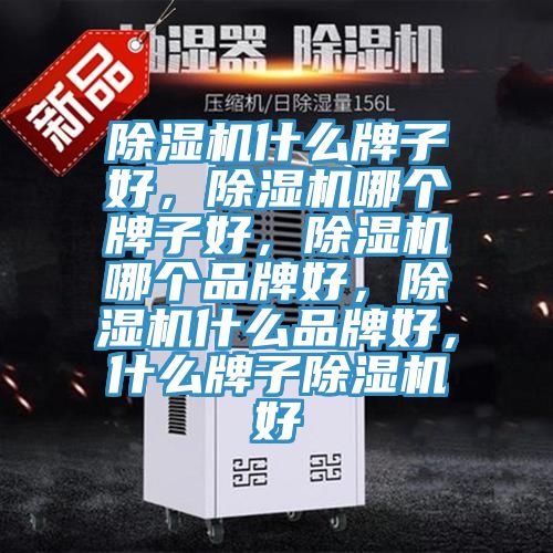 除濕機(jī)什么牌子好，除濕機(jī)哪個牌子好，除濕機(jī)哪個品牌好，除濕機(jī)什么品牌好，什么牌子除濕機(jī)好