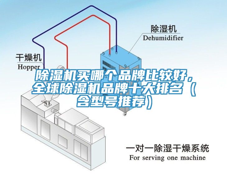 除濕機買哪個品牌比較好，全球除濕機品牌十大排名（含型號推薦）