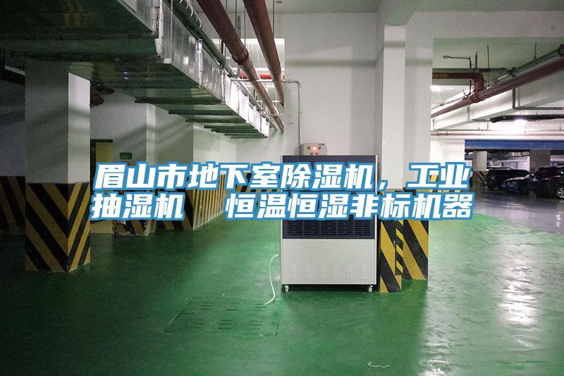 眉山市地下室除濕機(jī)，工業(yè)抽濕機(jī)  恒溫恒濕非標(biāo)機(jī)器