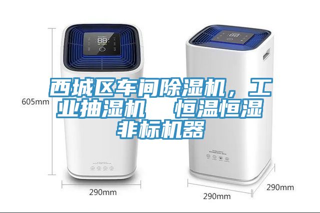 西城區(qū)車間除濕機，工業(yè)抽濕機  恒溫恒濕非標(biāo)機器