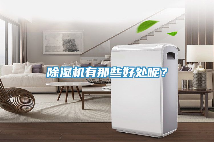 除濕機有那些好處呢？