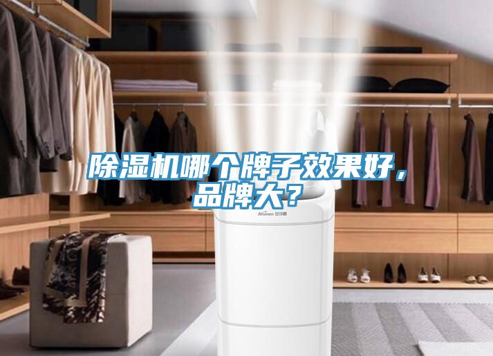 除濕機(jī)哪個(gè)牌子效果好，品牌大？