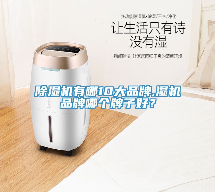 除濕機(jī)有哪10大品牌,濕機(jī)品牌哪個(gè)牌子好？