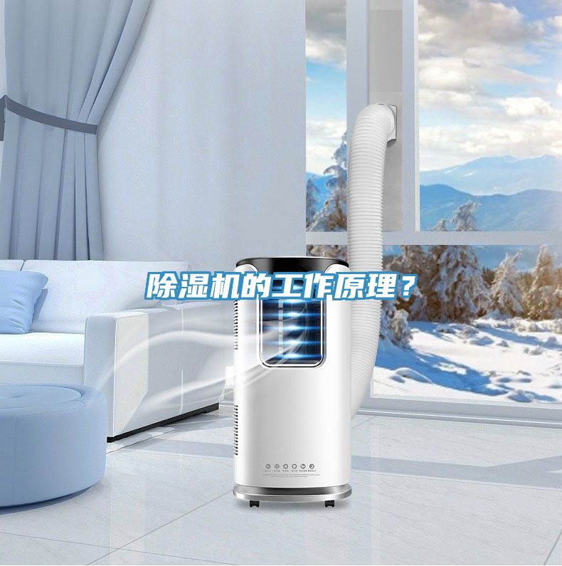 除濕機(jī)的工作原理？