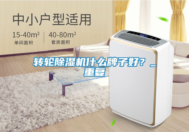 轉(zhuǎn)輪除濕機什么牌子好？_重復(fù)