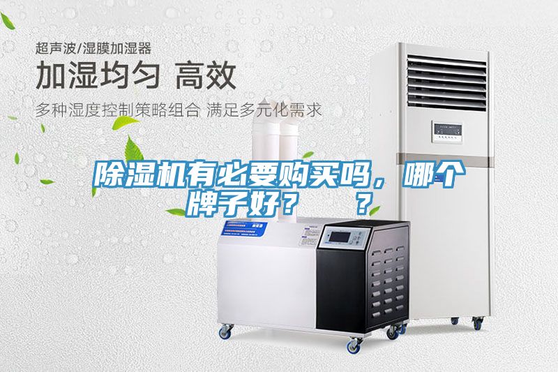 除濕機有必要購買嗎，哪個牌子好？  ？