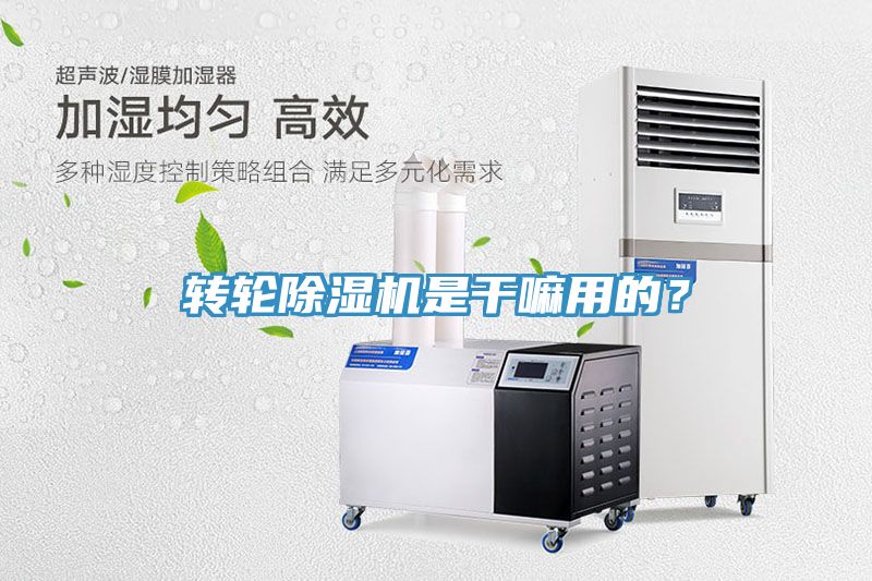 轉(zhuǎn)輪除濕機(jī)是干嘛用的？