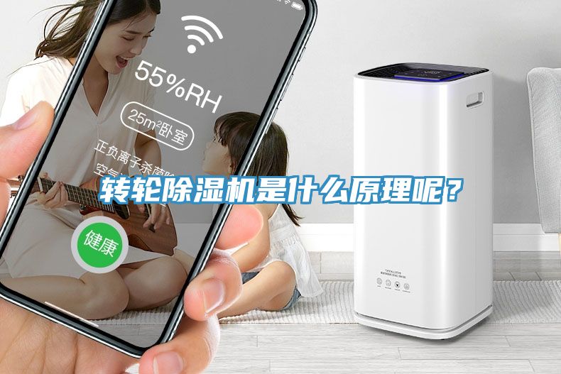 轉(zhuǎn)輪除濕機(jī)是什么原理呢？