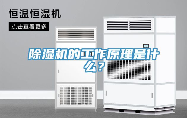 除濕機(jī)的工作原理是什么？