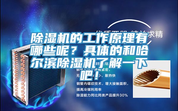 除濕機的工作原理有哪些呢？具體的和哈爾濱除濕機了解一下吧！