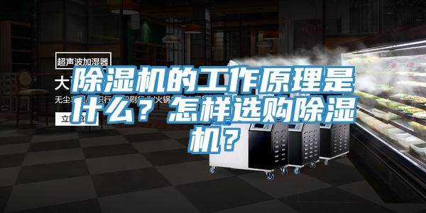 除濕機(jī)的工作原理是什么？怎樣選購除濕機(jī)？