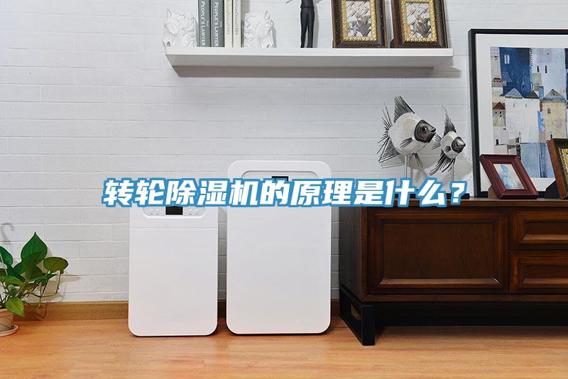 轉(zhuǎn)輪除濕機(jī)的原理是什么？
