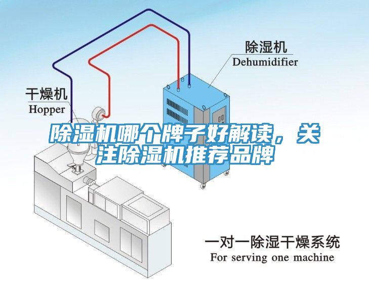 除濕機(jī)哪個(gè)牌子好解讀，關(guān)注除濕機(jī)推薦品牌