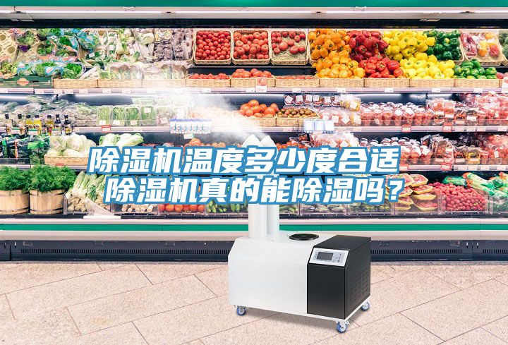 除濕機(jī)溫度多少度合適 除濕機(jī)真的能除濕嗎？