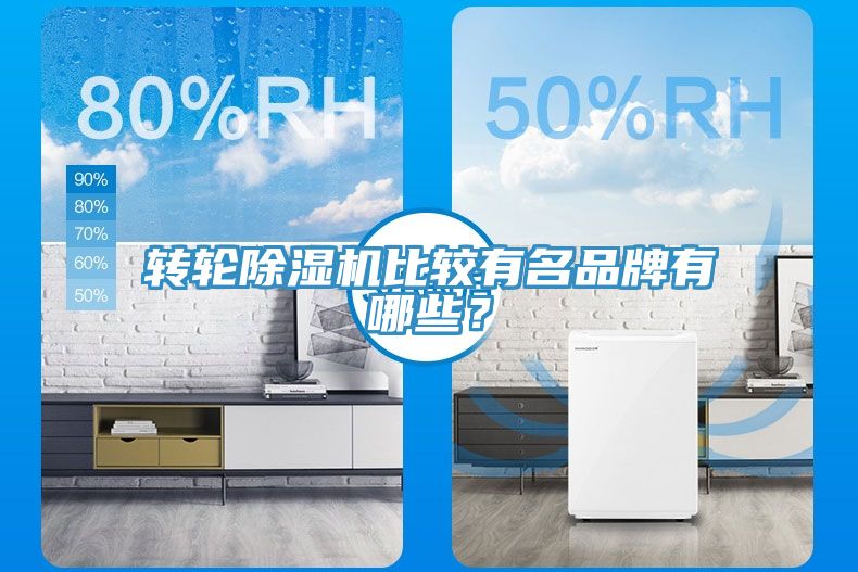 轉(zhuǎn)輪除濕機(jī)比較有名品牌有哪些？